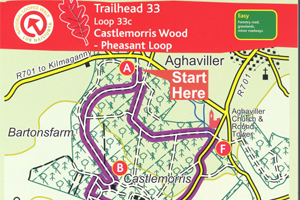 Castlemorris - Pheasant loop
