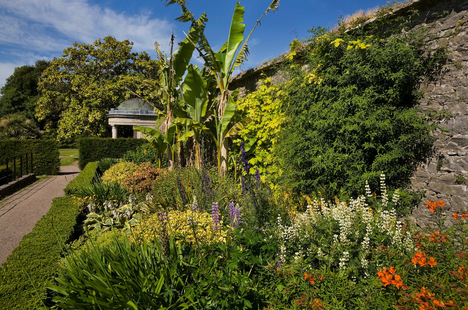 Flora at the Arboretum at Fota House in County Cork.