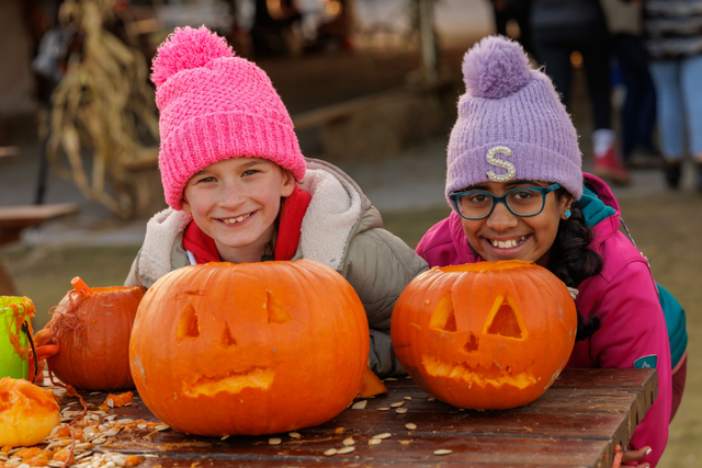 Pumpkin Patch Picking at Nore Valley Park, Kilkenny