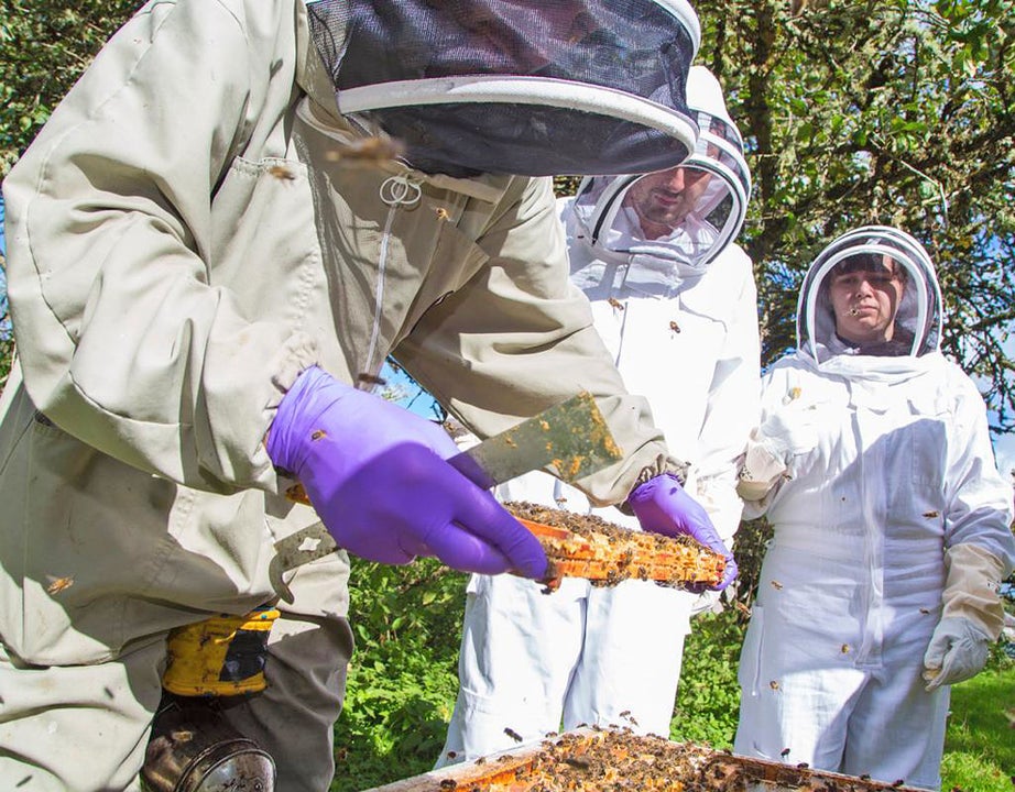 Olly's Farm people in beekeeping suits watching a demonstration by a beekeeper