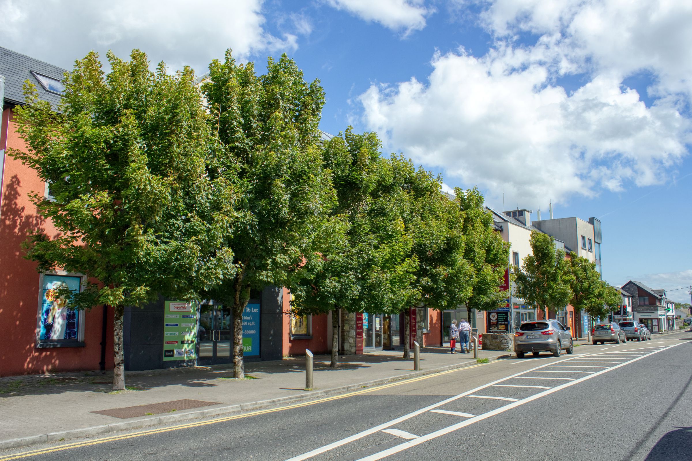 Tour Delightful Moycullen with Discover Ireland