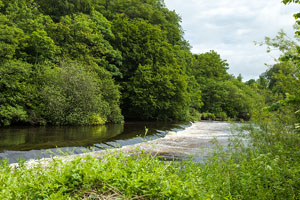 St Wolstans Weir