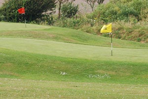 Kilmichael Pitch And Putt Club