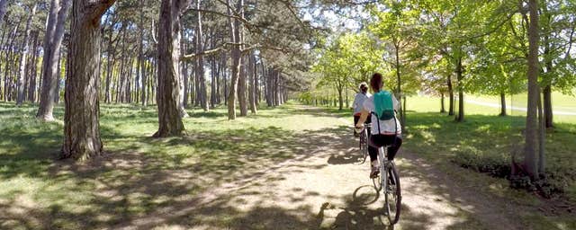Phoenix Park Bikes