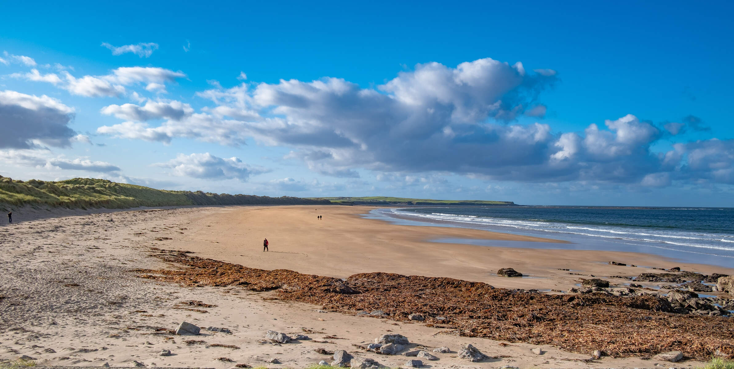 Golden sand against a blue sky with a white cloud