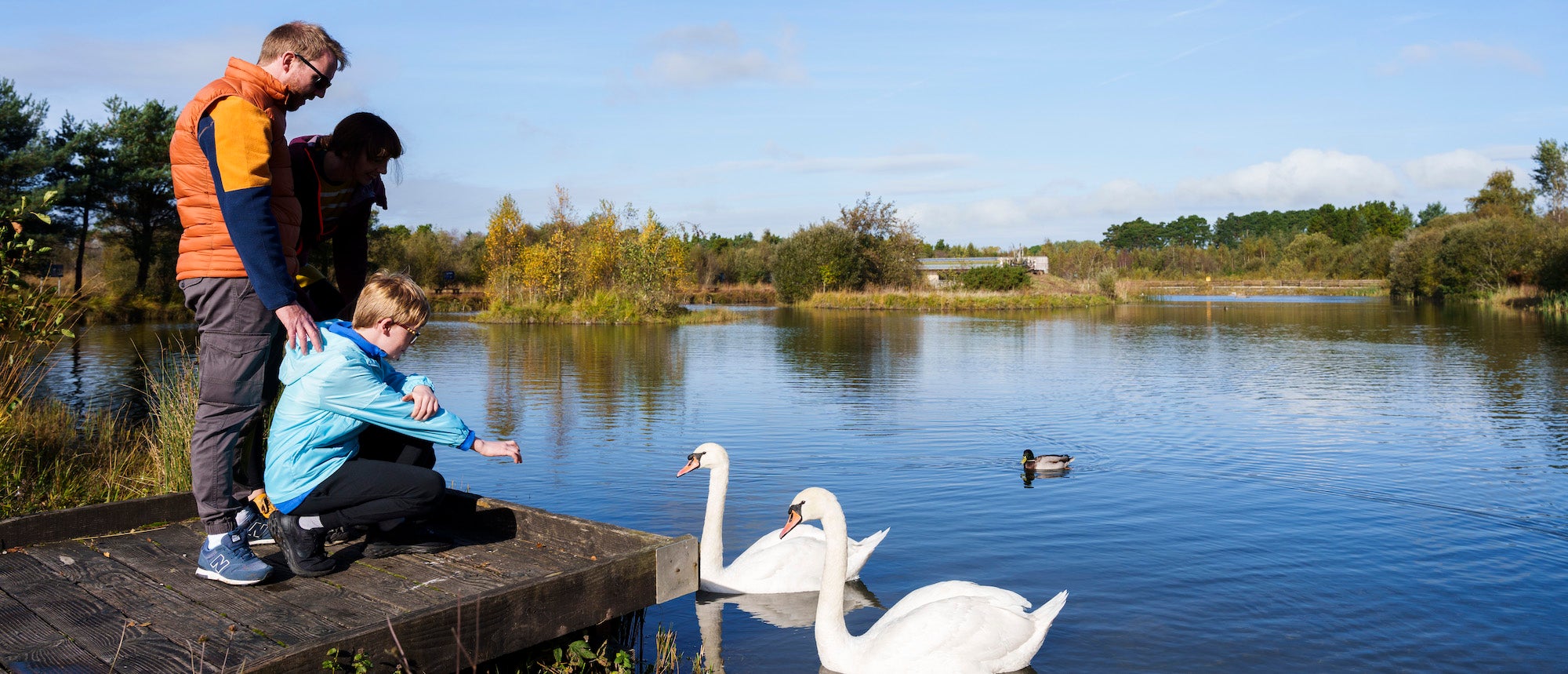 A family feeding swans in Lough Boora Discovery Park in Tullamore, County Offaly