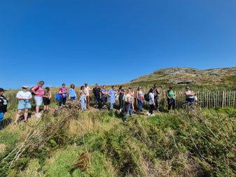 Join Nicole Howth Foraging for an unforgettable day on Irelands eye, foraging, picnic, boat trip, wildlife, bird sanctuary