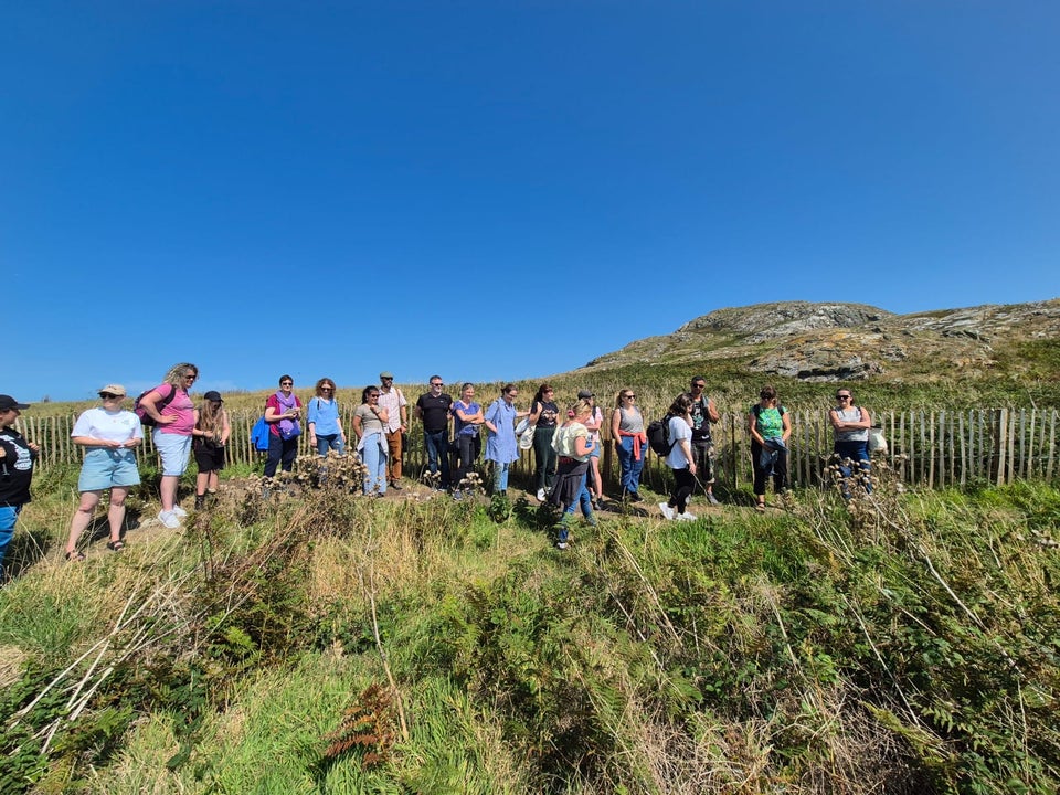 Join Nicole Howth Foraging for an unforgettable day on Irelands eye, foraging, picnic, boat trip, wildlife, bird sanctuary
