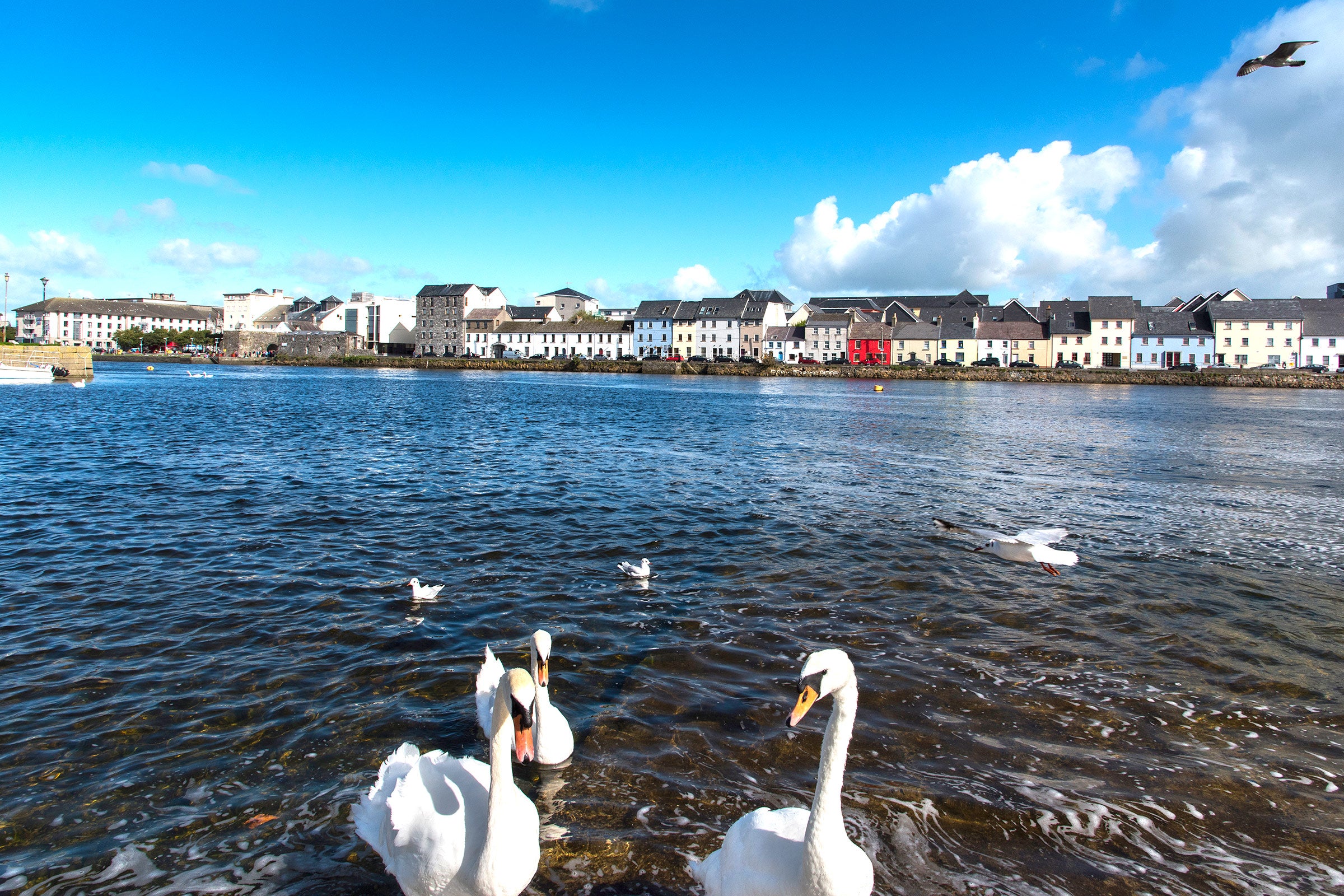 Two Days in Galway The Discover Ireland Guide