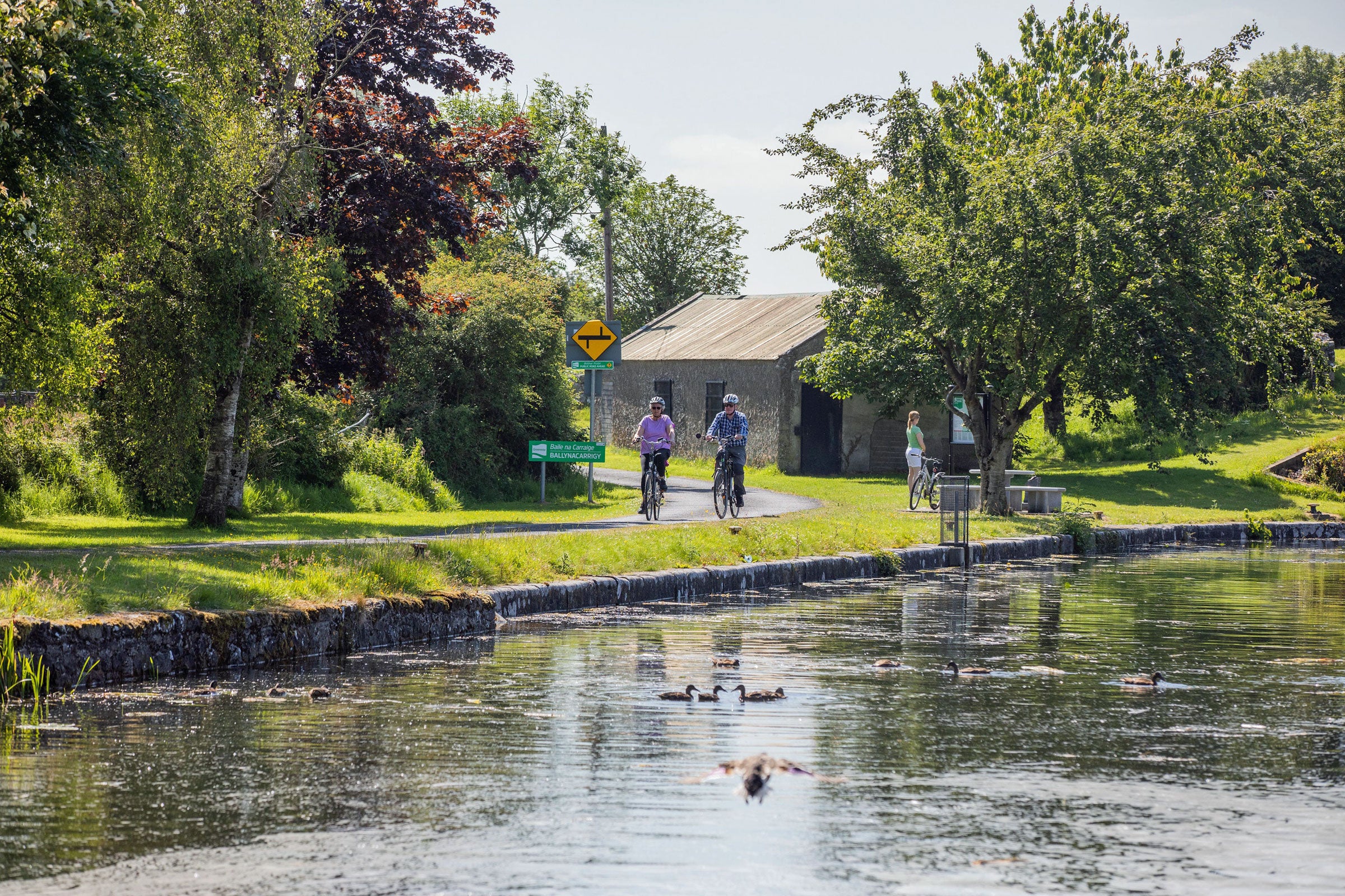 Royal Canal Greenway - Mullingar