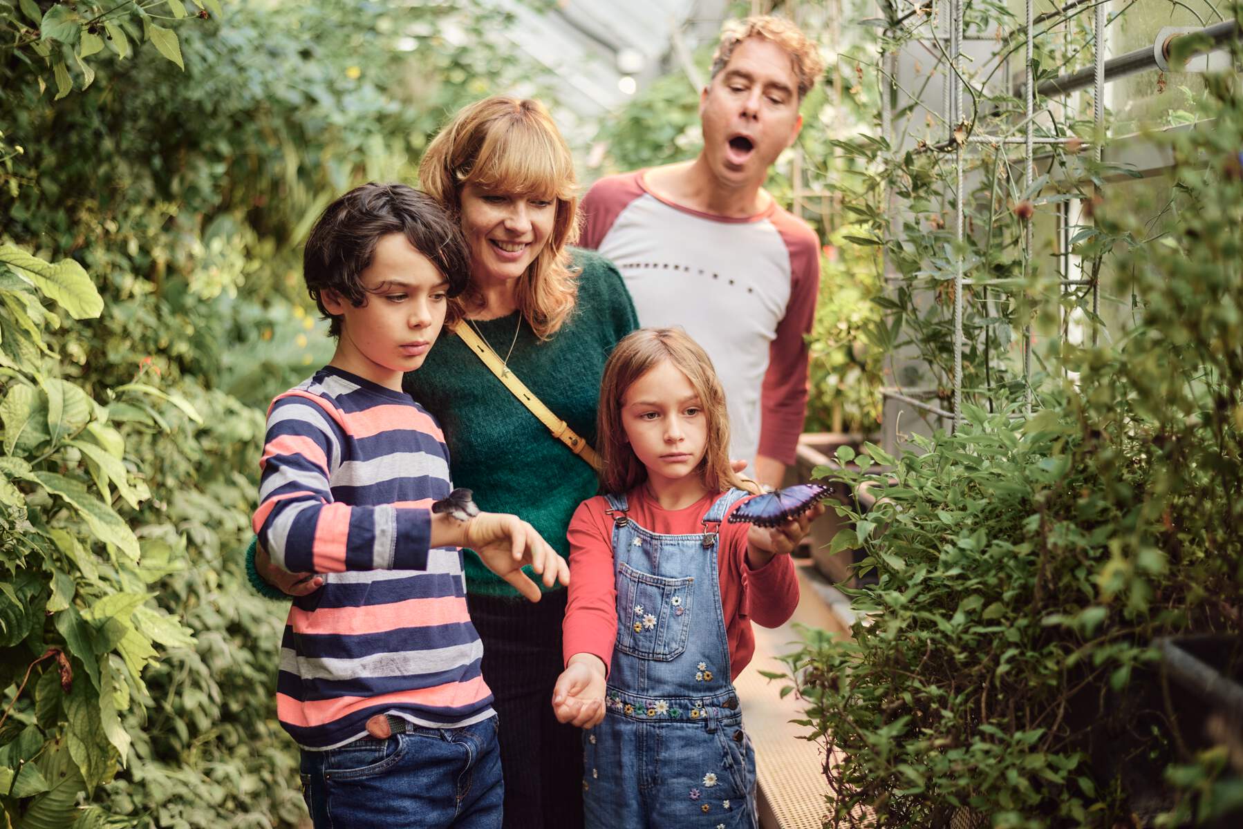 Step into spring at Malahide Castle and Gardens.