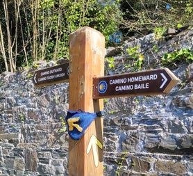 Wooden Camino trail signpost beside a stone wall with greenery