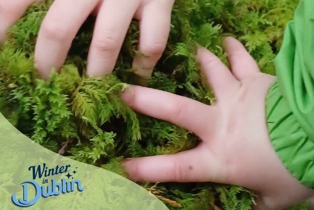 Awaken your sense of wonder as you explore nature with your child. With winter-themed nature activities in the fresh winter air, Families in the Forest is the perfect way for families to take a break during the busy Christmas season.