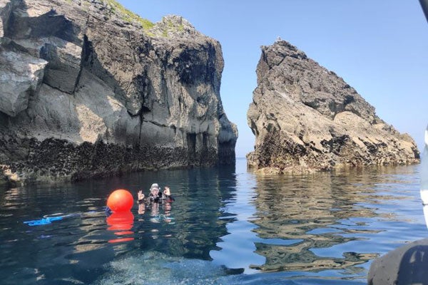 A diver in the water with Waterworld Dive Centre Castlegregory
