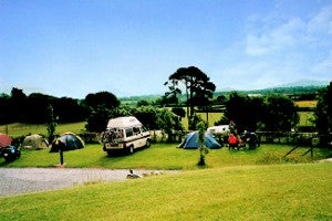TREE GROVE CARAVAN AND CAMPING PARK
