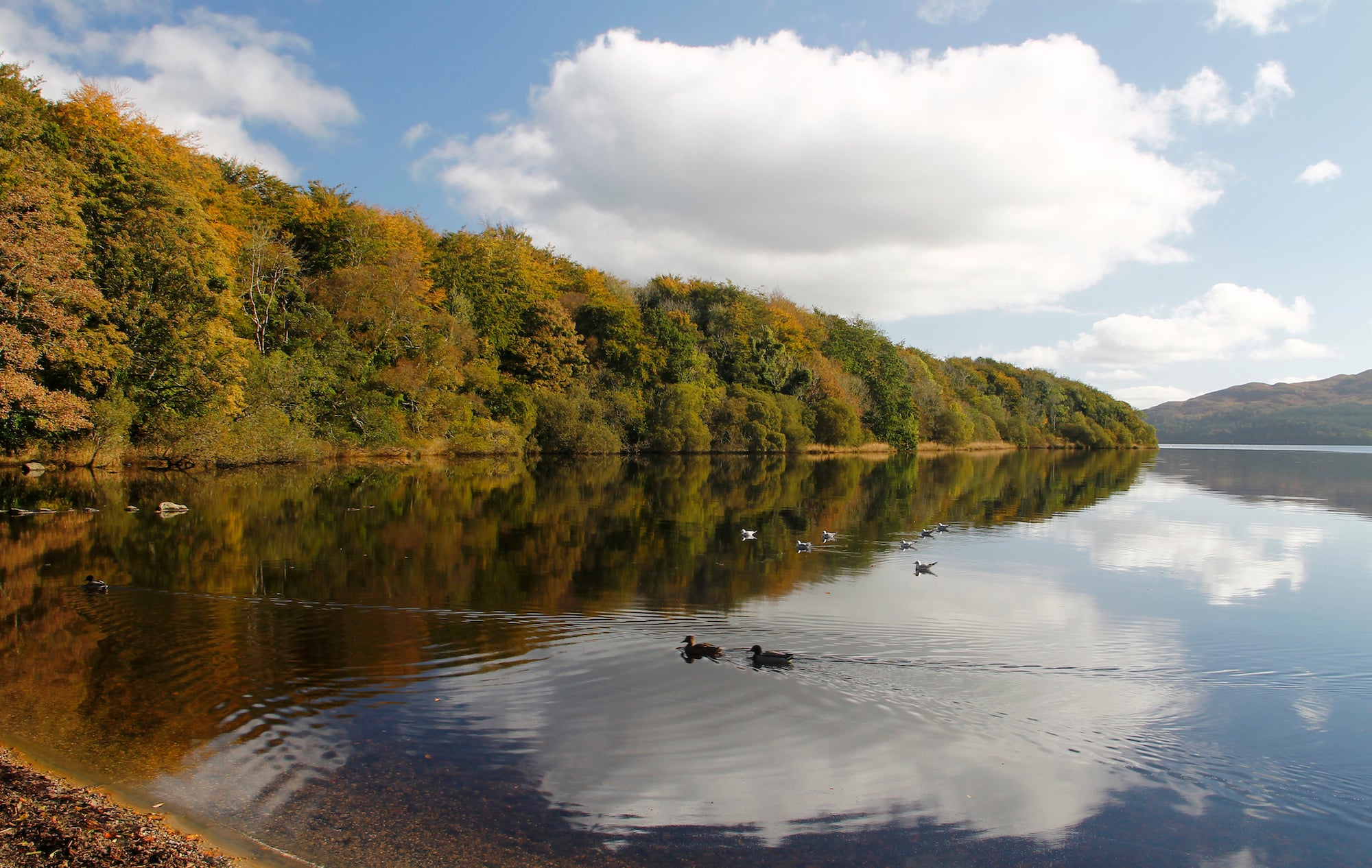 Half Moon Bay in Hazelwood, Co Sligo