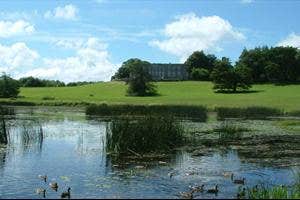 Curragh Chase Forest Park