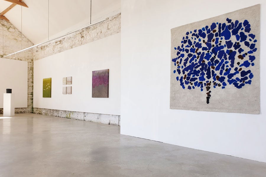Visit Sarah Walker Gallery with Discover Ireland