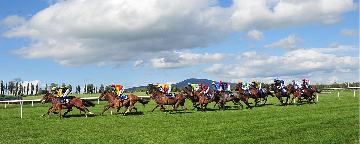 Clonmel Racecourse showing race in progress on a sunny day