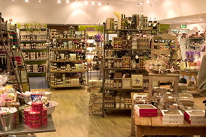 Avoca Kilmacanoge