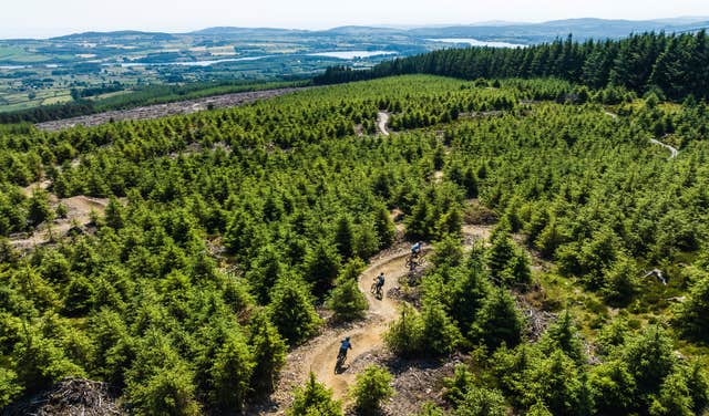 Biking.ie - Ballinastoe Mountain Bike Trail