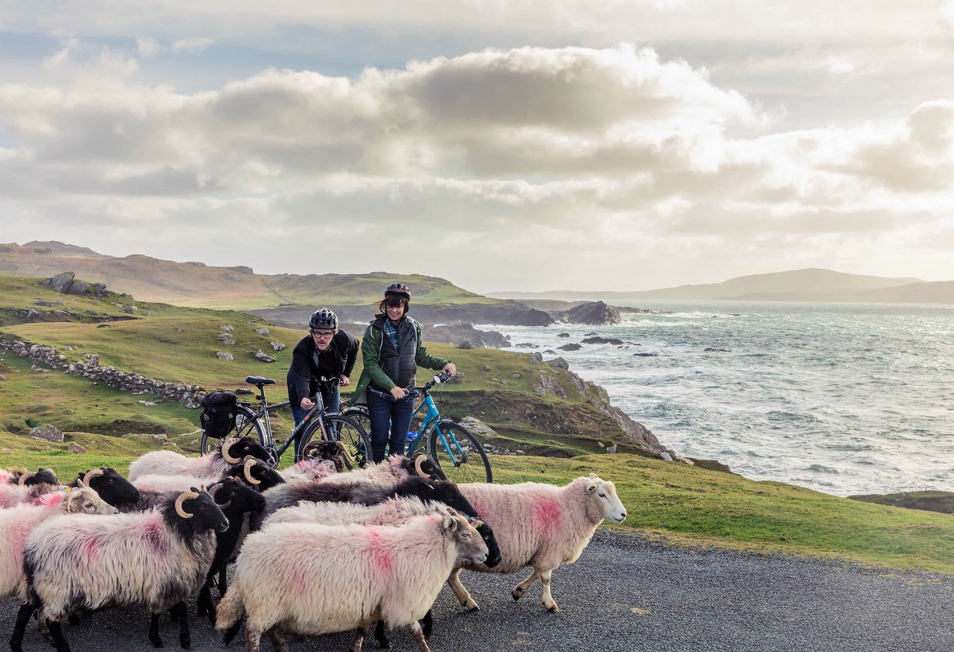 Two people with bikes standing near cliffs surrounded by sheep