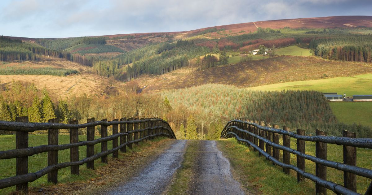 Slieve bloom store