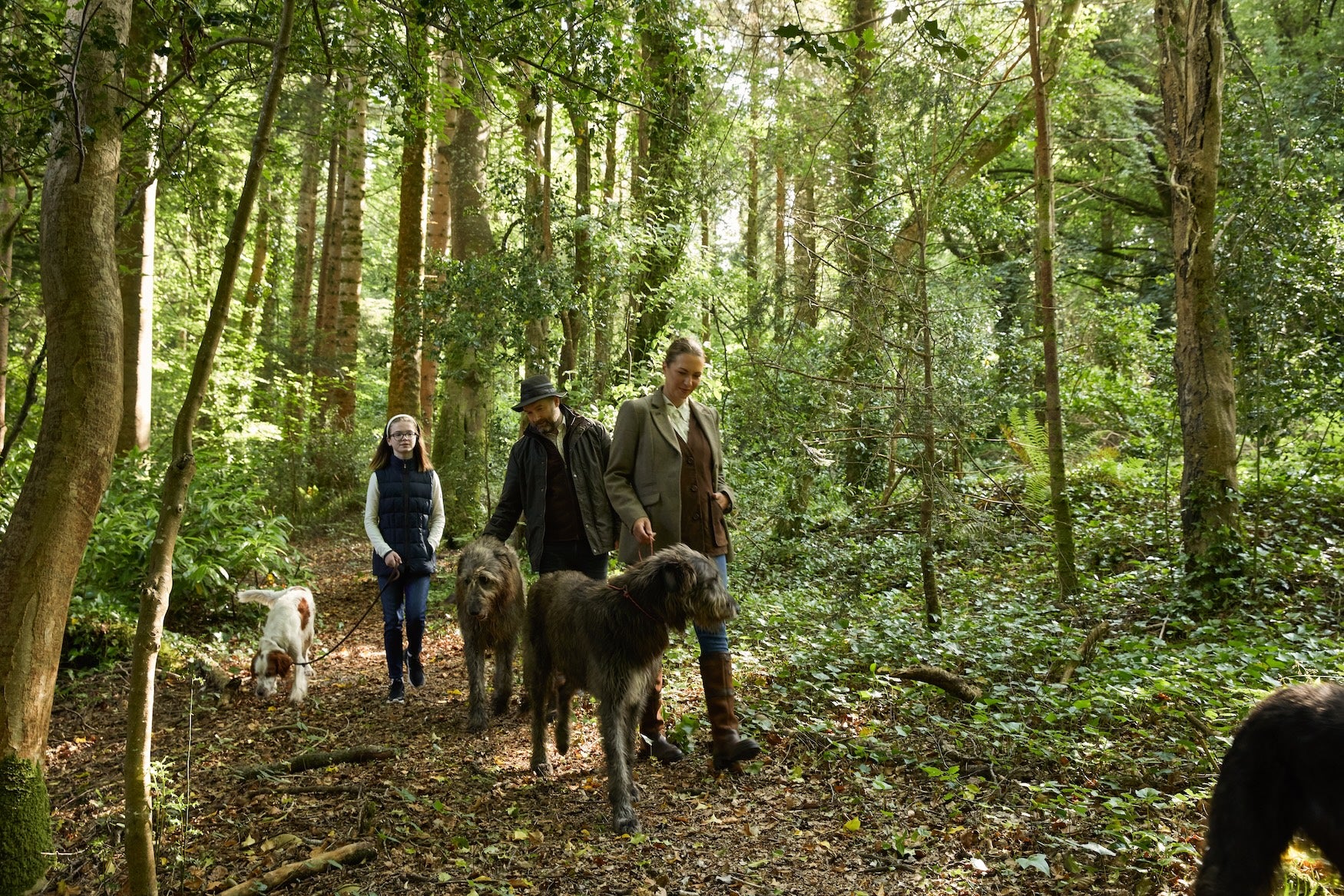 The wolfhound walk at Ashford Castle, Co Mayo