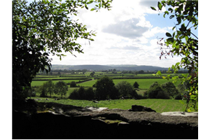 Jenkinstown Wood Loop