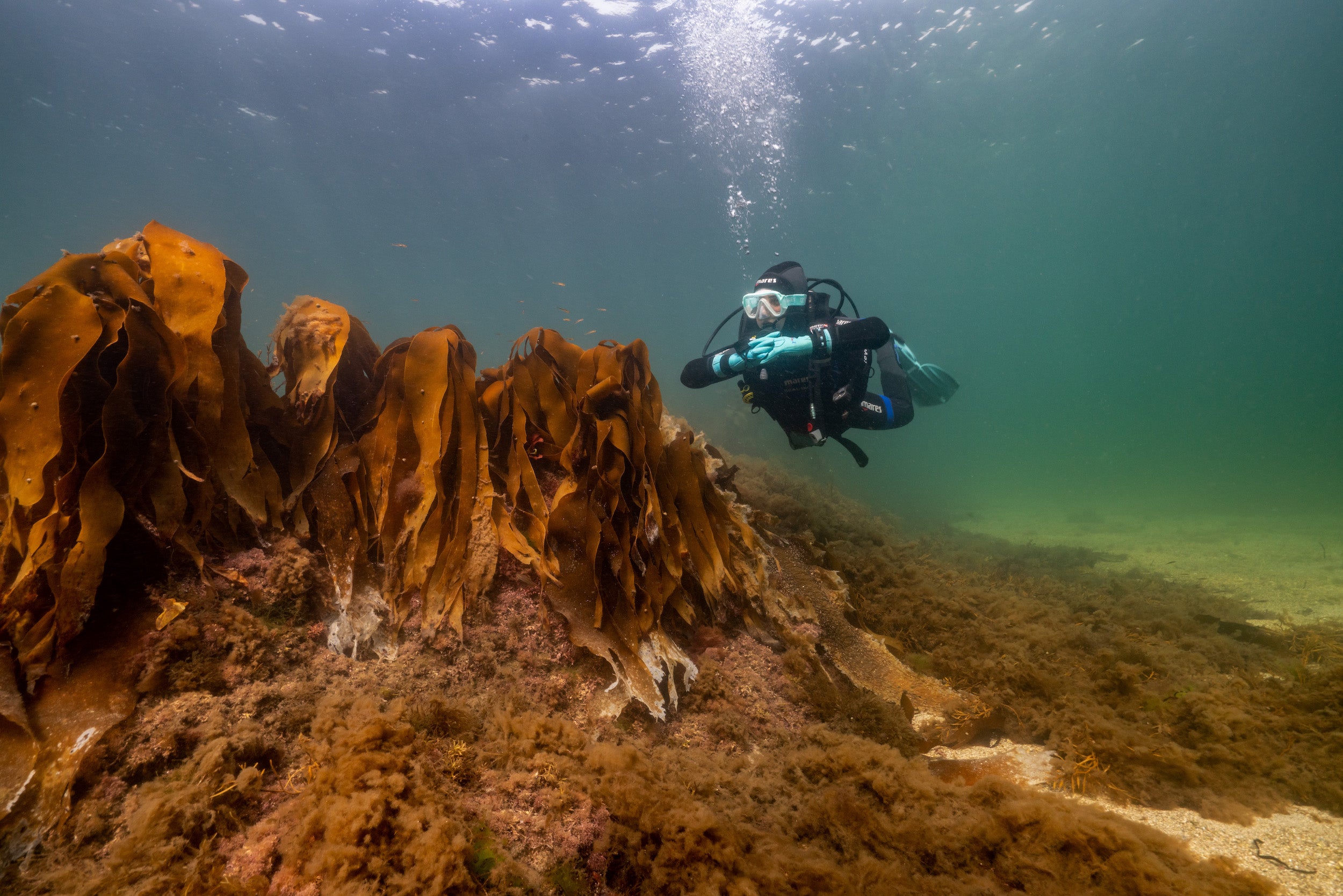 A person scuba diving with Atlantic Scuba Adventures in County Galway