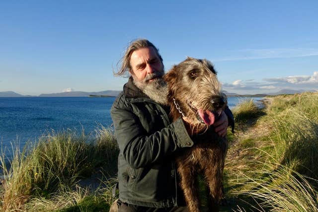 Irish Wolfhounds Ireland