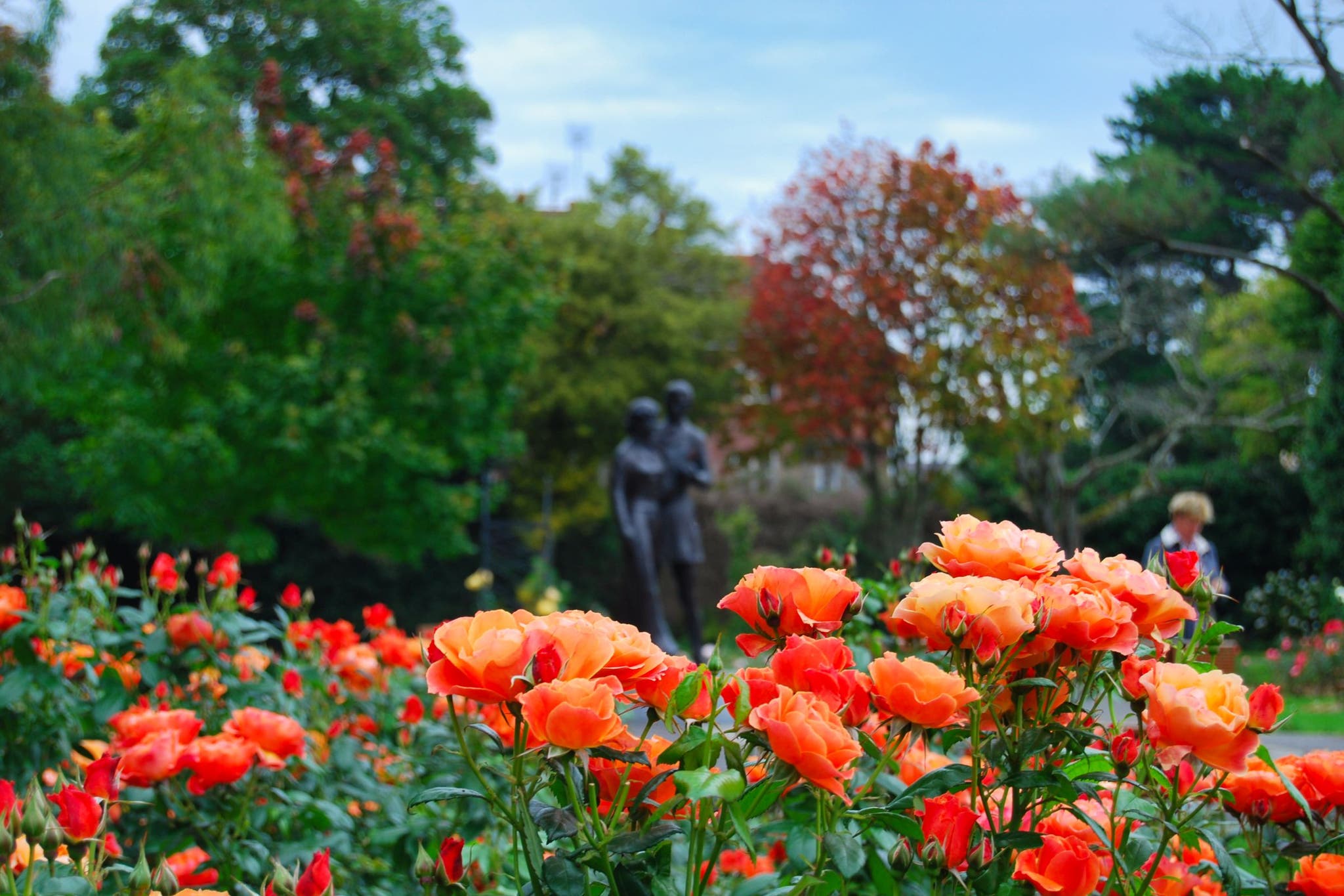 Check Out The Things to Do in Tralee with Discover Ireland