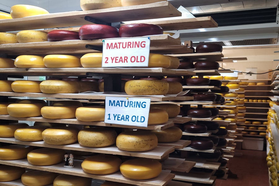 Cheese maturing during the cheesemaking process