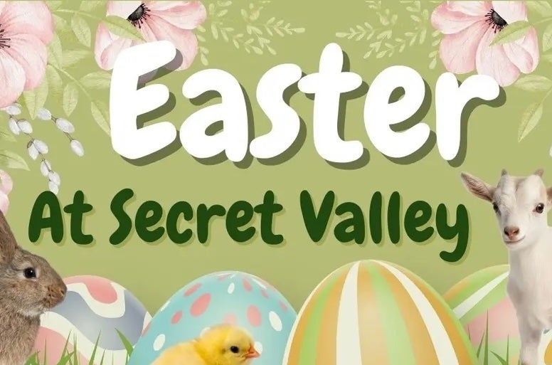 Easter in wexford, easter bunny, easter egg hunt and a young white kid goat