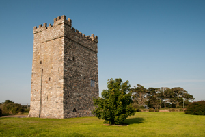 Ballyhealy Castle
