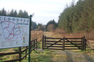 Signage and a gate along Cloonfad's scenic walks
