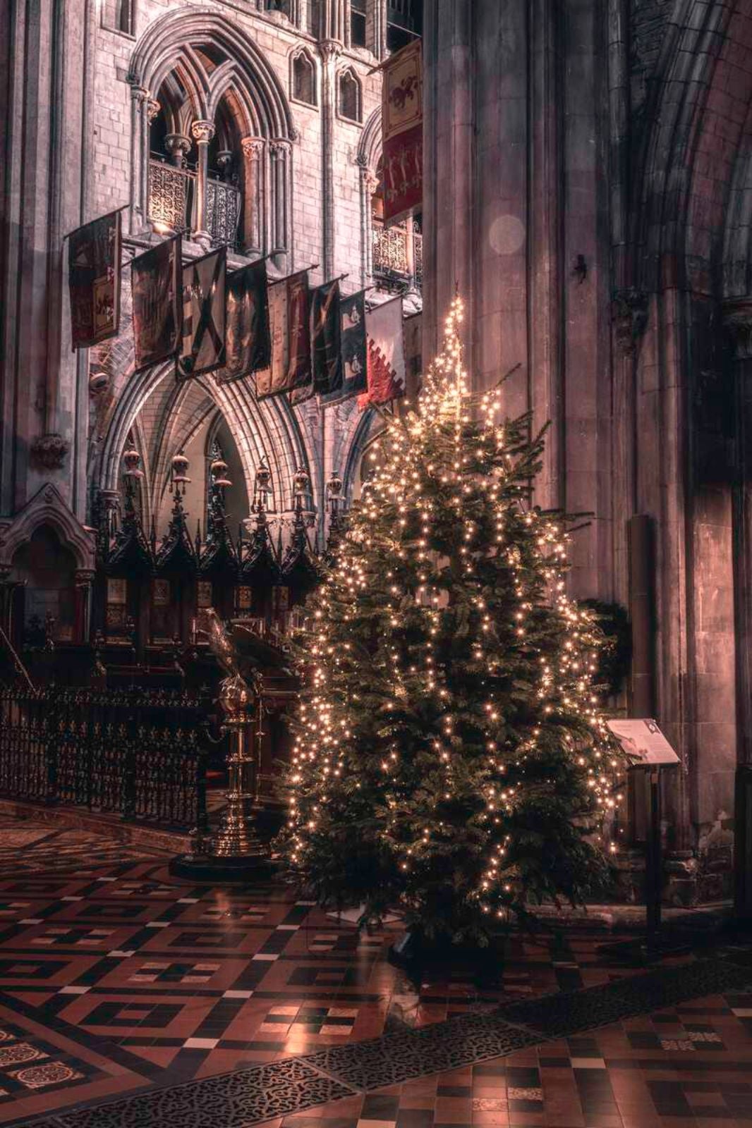 The Best Family Christmas Activities in Dublin 2023 with Visit Dublin