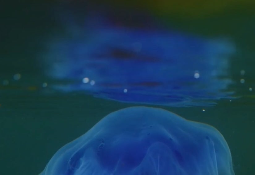 Still from Bettina Seitz's Monk by Fionn Rogers