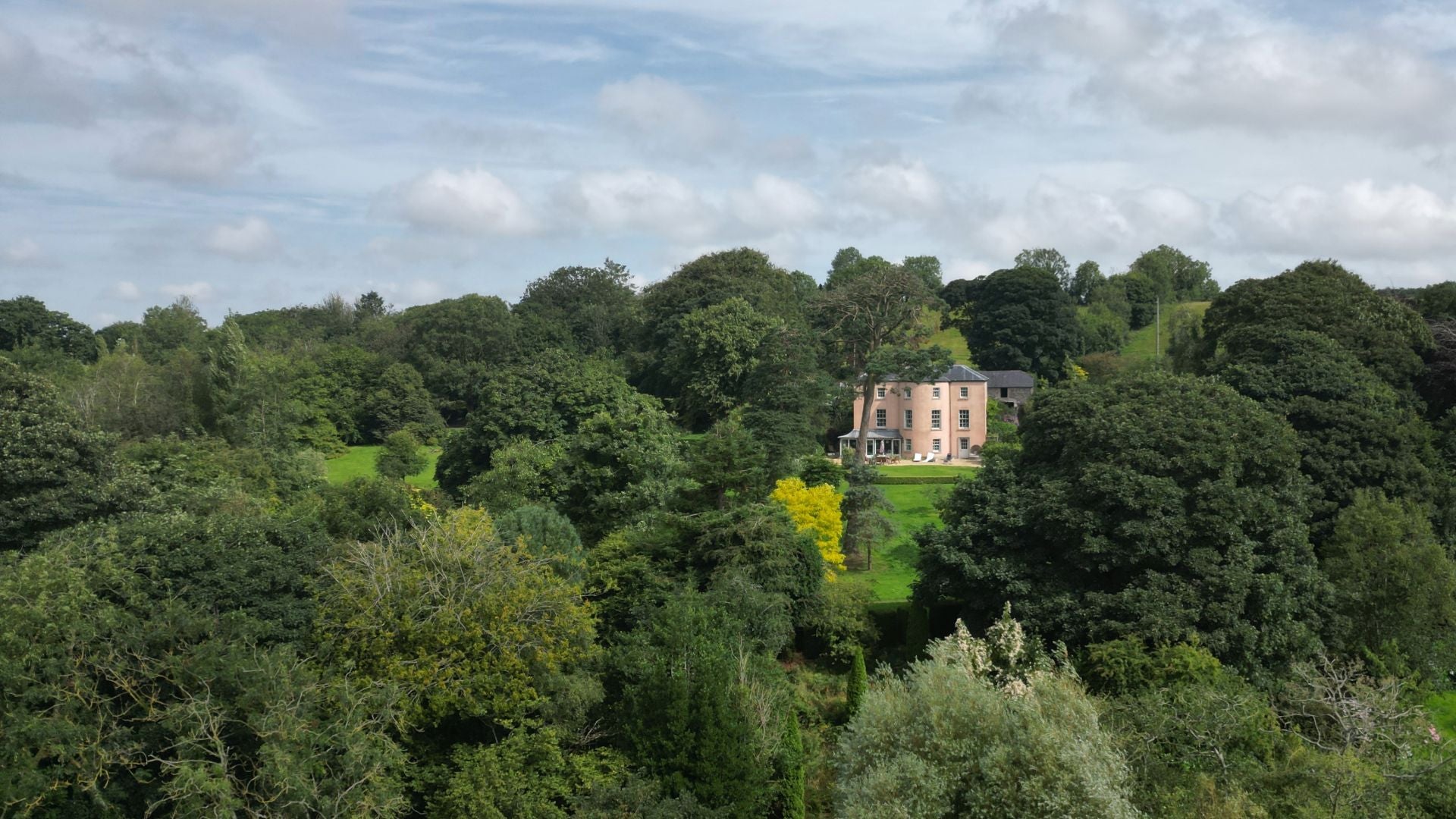 View of woods and property