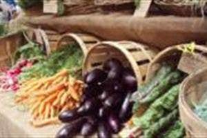 Roscommon Farmer's Market