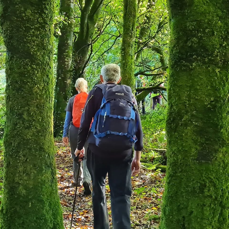 Walkers in Forest 
