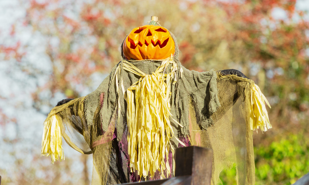 Brigit's Garden is the most spectacular garden in Ireland, set within 11 acres of native woodland and wildflower meadows, decorated for a family friendly Halloween.