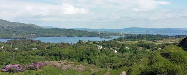Glengarriff Woods Nature Reserve