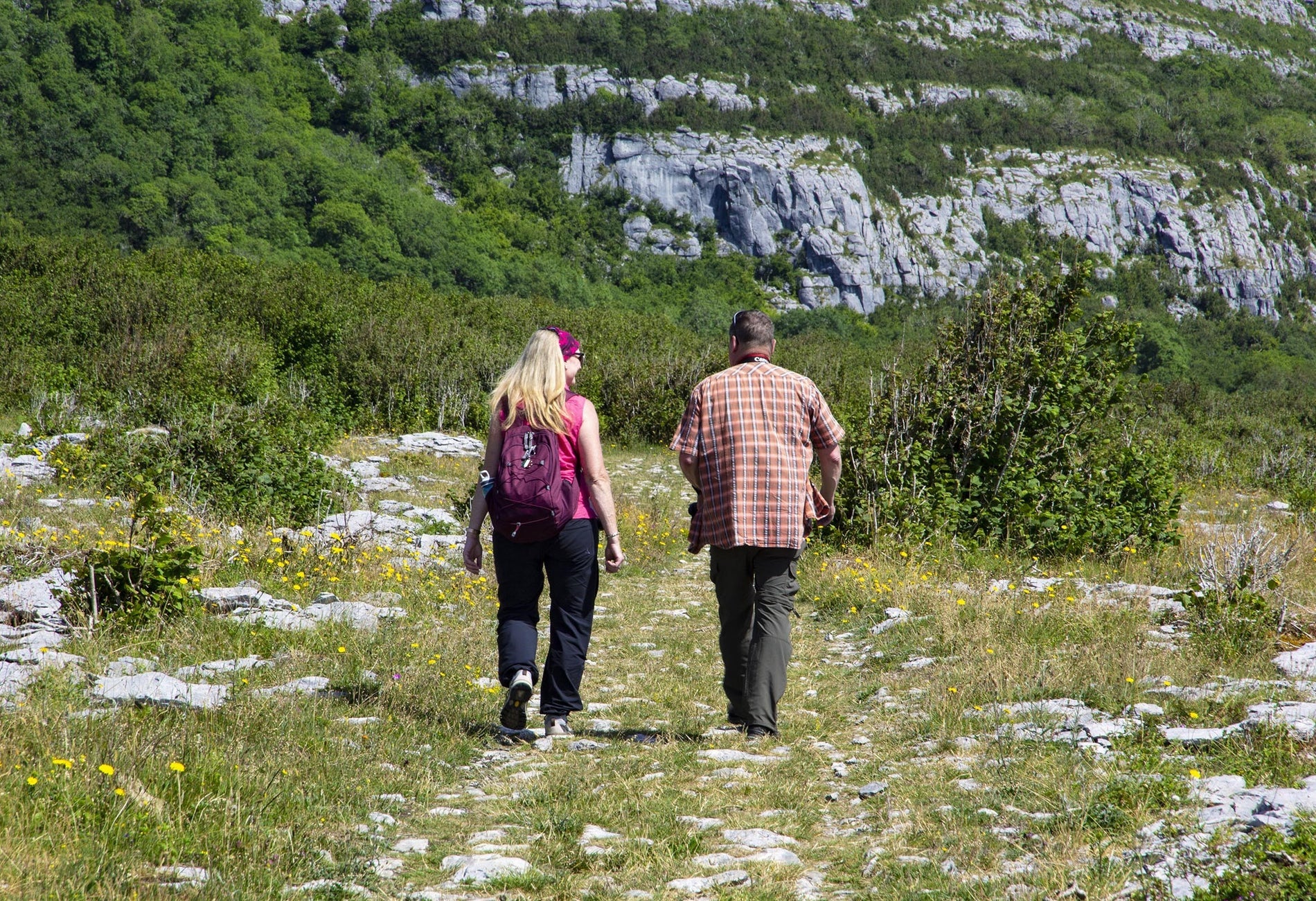 Two people walking on a rocky path with bushes and rocks in front
