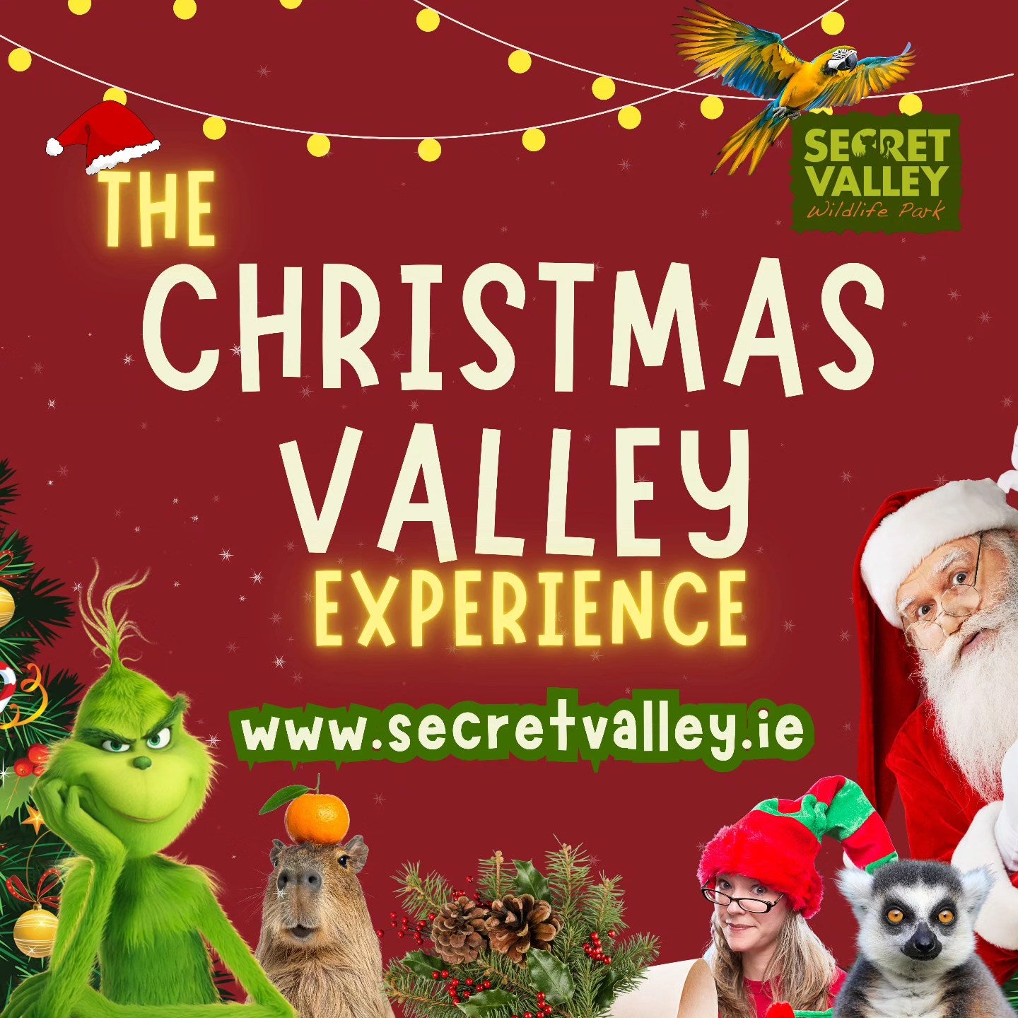 Christmas, Wexford, Ireland Christmas, Animals, Things to do wexford, Christmas time, Santa, Grinch, Elves, Lemur, Capybara, Christmas in Ireland, unique christmas, letter form santa