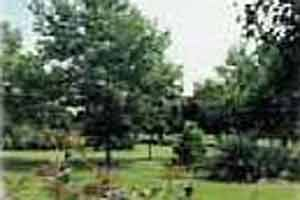 Fairview Park