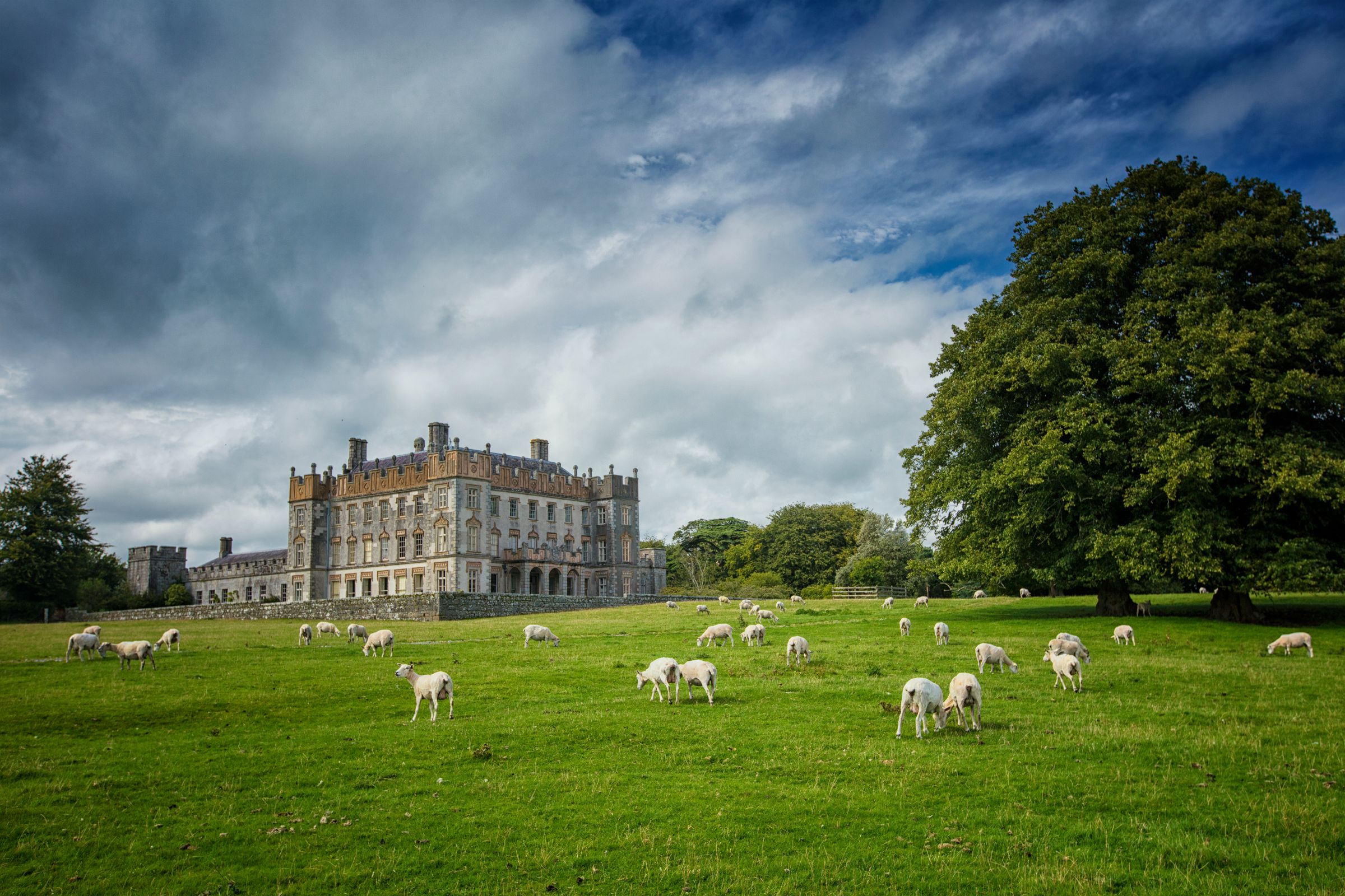 Explore Historical County Carlow With Discover Ireland