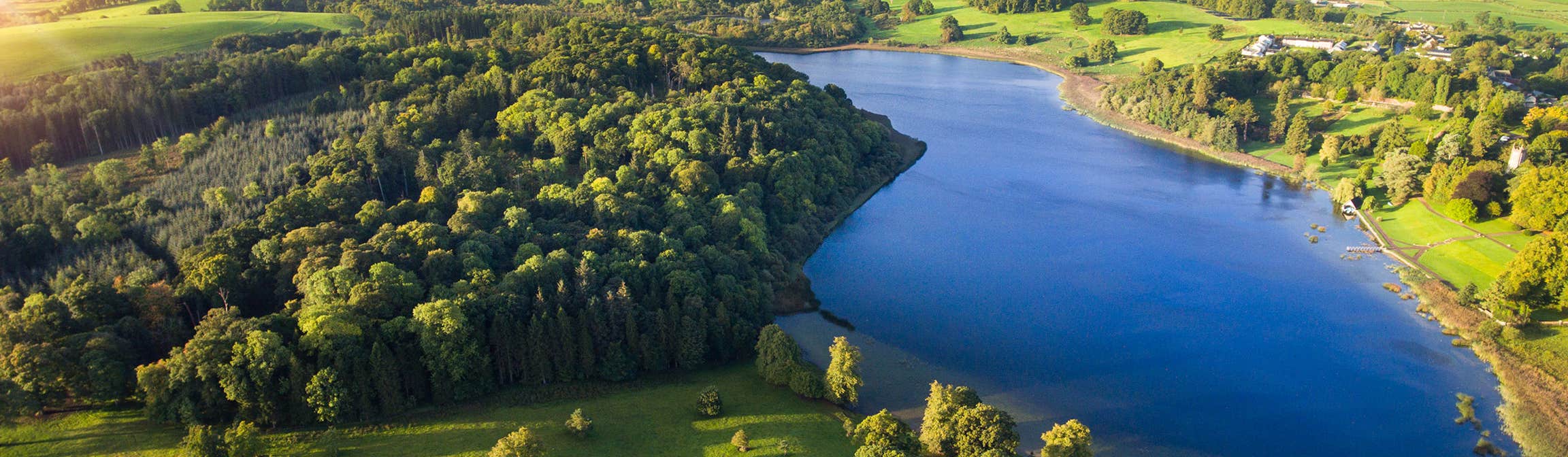 Liscussee — Cussee