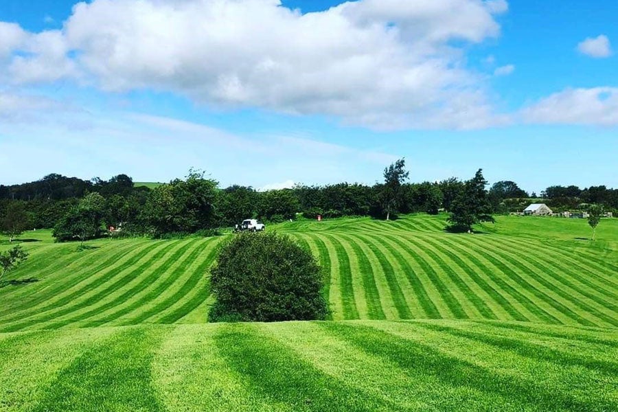 Bush on the fairway at FootGolf Mayo Westport County Mayo