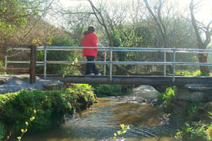 Image of person on walk